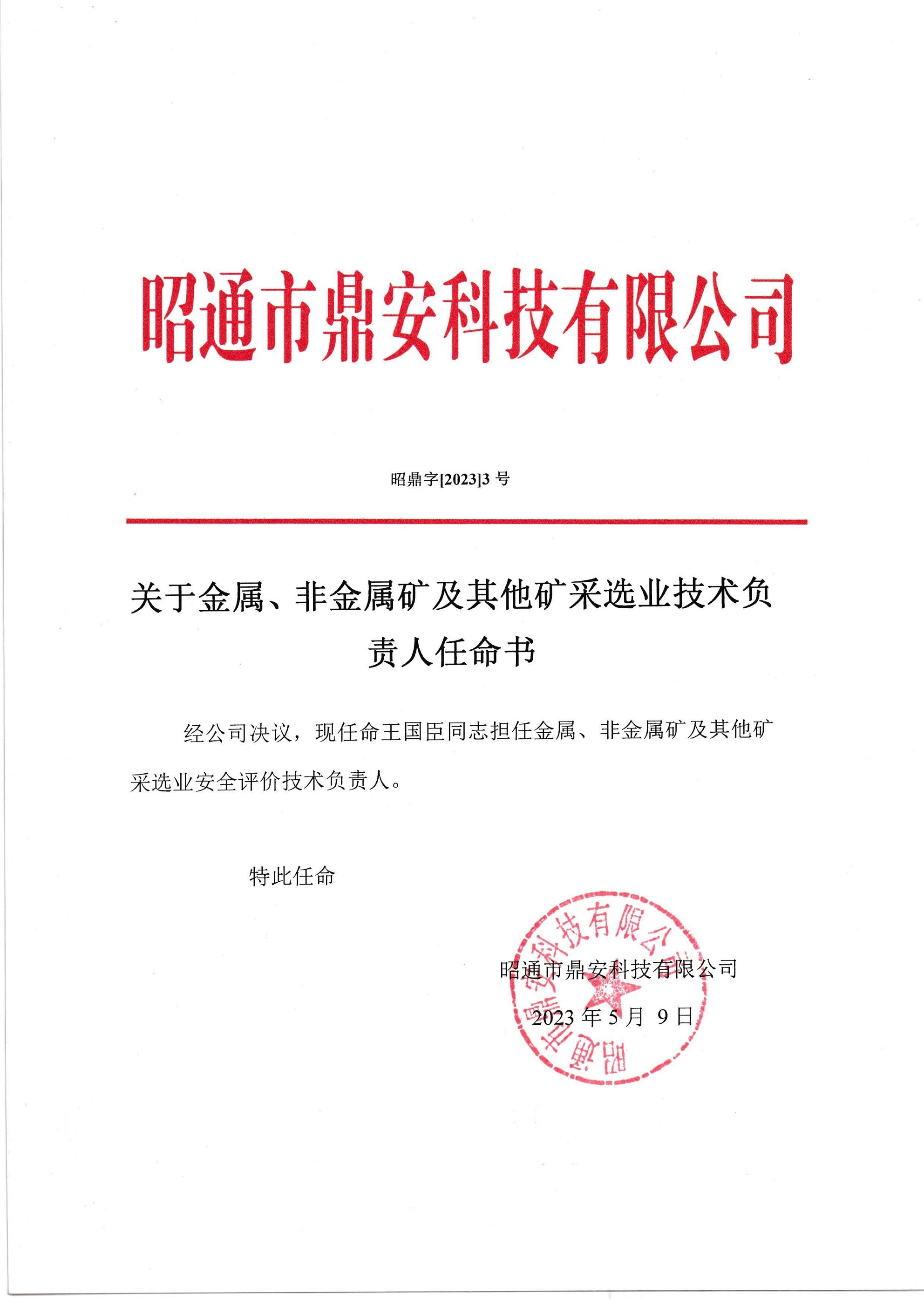 關(guān)于金屬、非金屬礦及其他礦采選業(yè)技術(shù)負(fù)責(zé)人任命書-王國(guó)臣_2.jpg